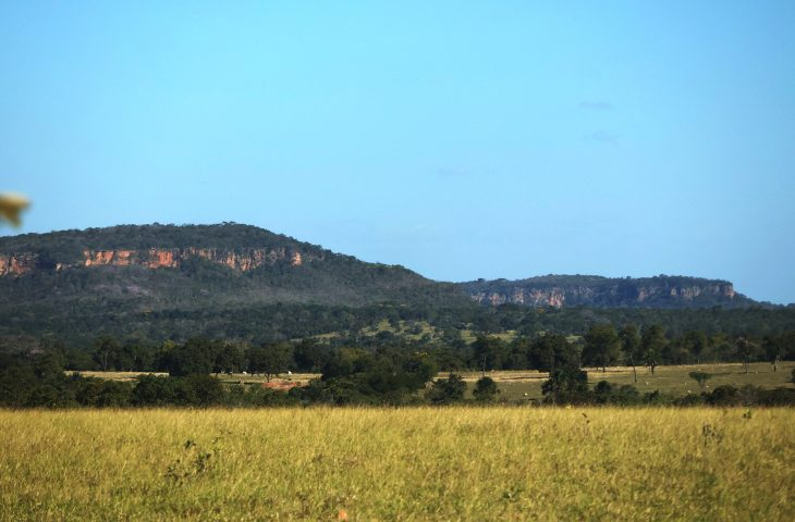 Sexta-feira tem previsão de tempo firme, com sol e baixa umidade do ar em Mato Grosso do Sul