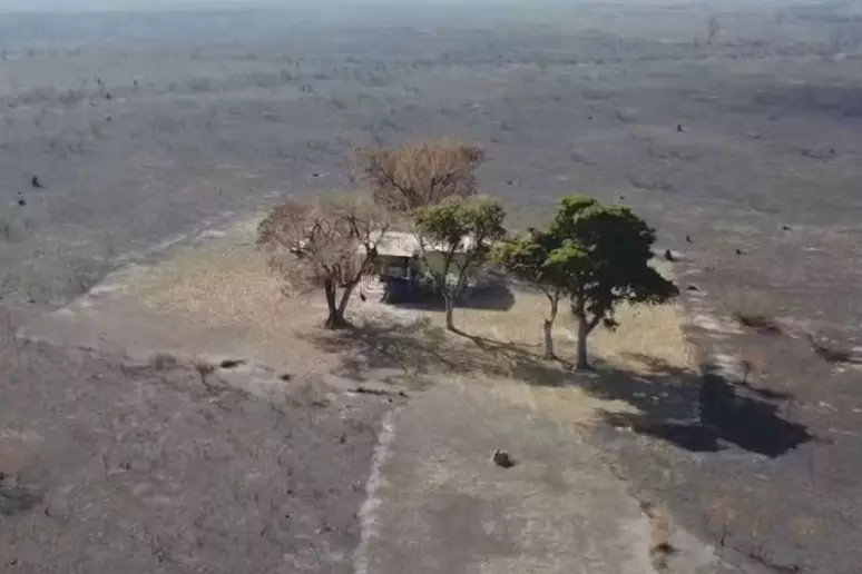 Casa resiste a incêndios no Pantanal em área que teve vegetação devastada no MS