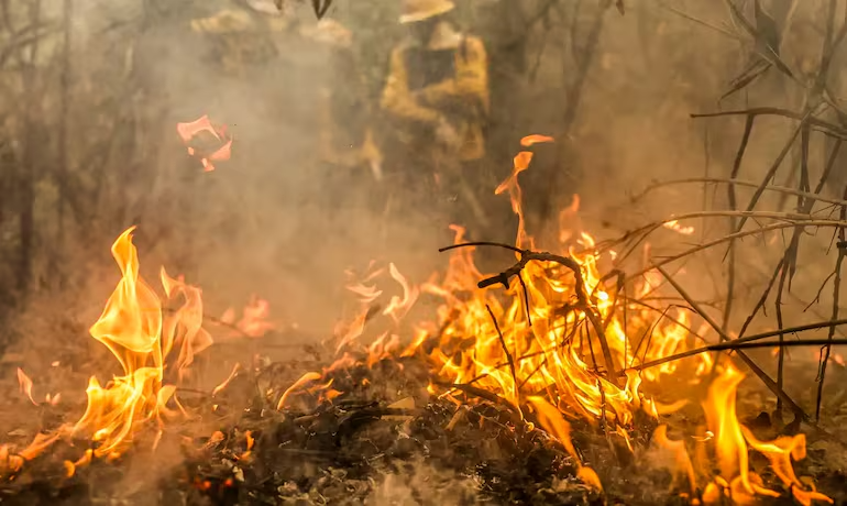 Governo Lança Ação Conjunta com Estados para Combater Incêndios na Amazônia e Pantanal