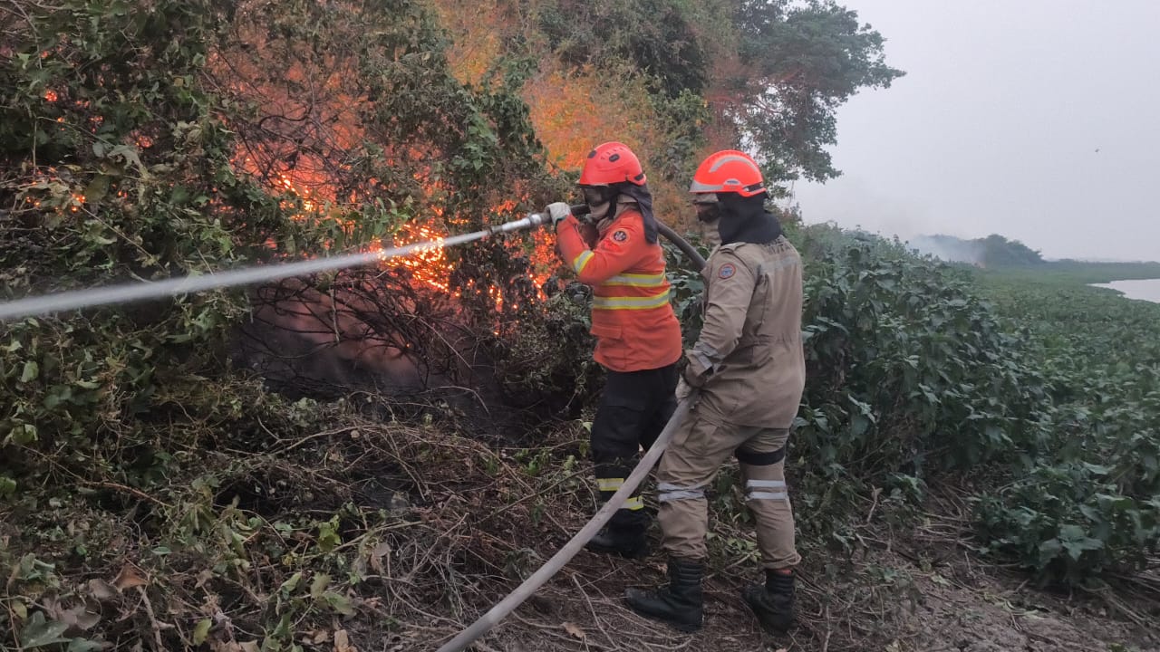 Incêndios florestais se intensificam em biomas de MS, e na fronteira com a Bolívia combate continua