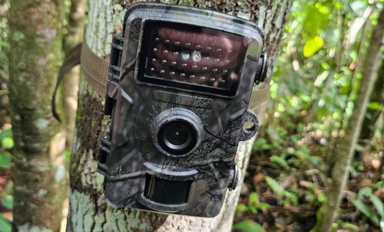 PMA reforça monitoramento por meio de câmeras no Pantanal