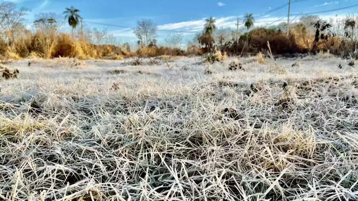 Geada, ciclone e até neve é esperada em nova massa de ar frio que chega ao Brasil