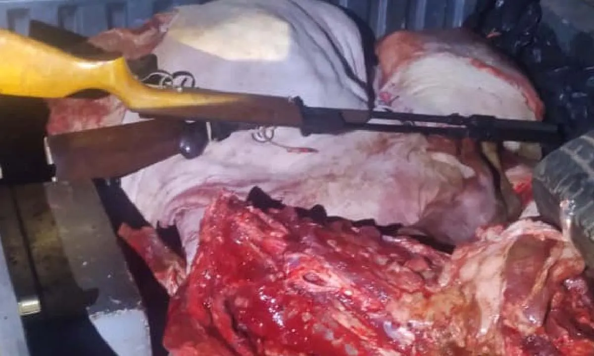 Ladrões de gado reagem a abordagem e morrem em confronto com a Polícia