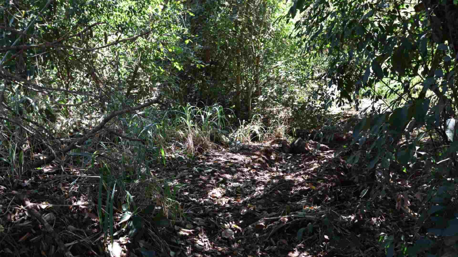 Câmeras mostram Raquel no banco da frente antes de ser jogada na vala pelo amante