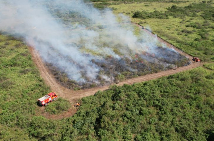 Mato Grosso do Sul proíbe queima controlada até novembro; no Pantanal, medida vai até dezembro