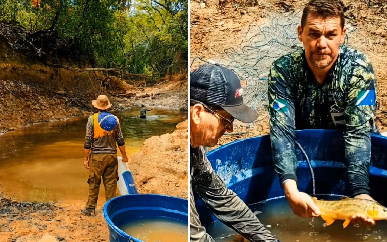 Operação resgata mais de 1,2 mil peixes no Rio da Prata em Jardim
