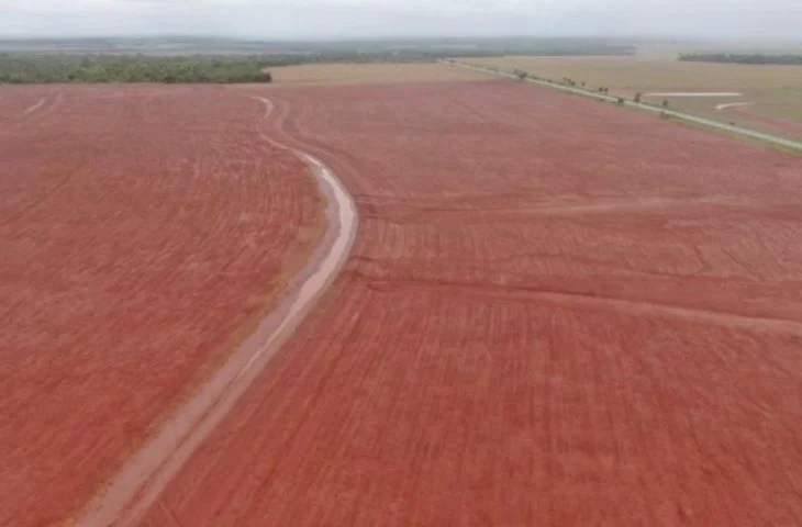 FCO registra recorde de R$ 3,24 bilhões em Mato Grosso do Sul impulsionado pelo campo
