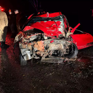 Três homens morrem após carro bater de frente com carreta de celulose