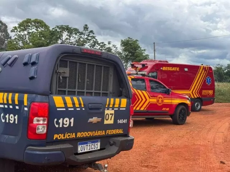 Homem foge de perseguição policial e morre após ataque de abelhas