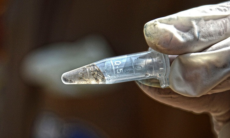 Boletim Epidemiológico aponta 2.891 casos confirmados de dengue em MS