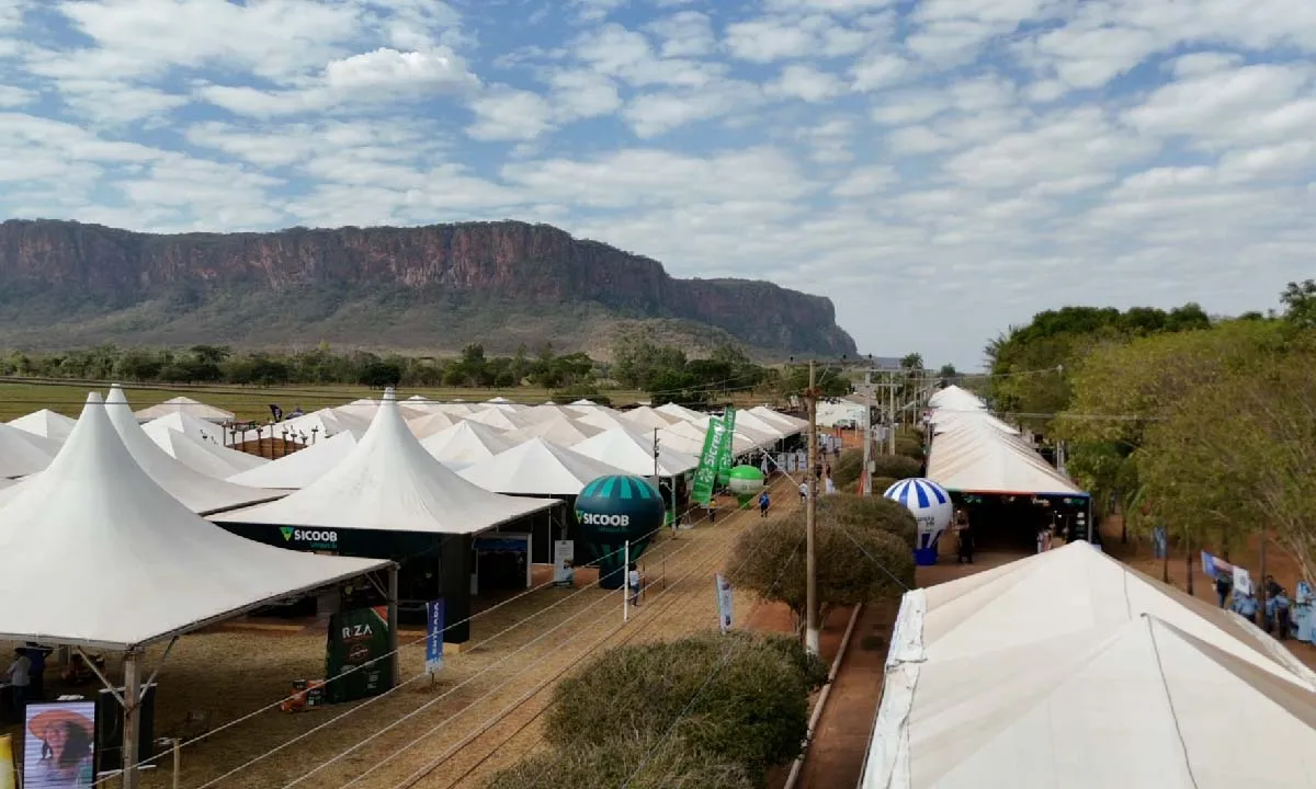 Economia criativa e agricultura familiar levam shows, feiras, cultura e informação para o Pantanal Tech MS