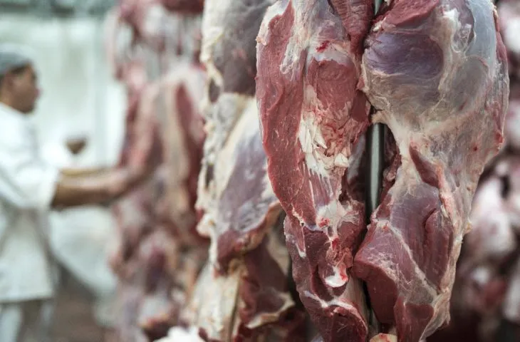 Exportações de MS atingem US$ 7,24 bilhões com destaque para carne bovina