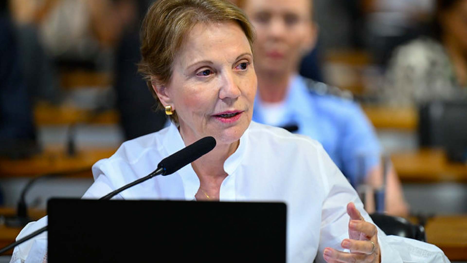 Tereza Cristina cobra explicações sobre decretos que tratam da demarcação de terras indígenas no país