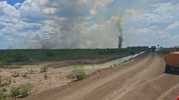 Pantanal registra novos focos de incêndio e acende alerta para 2026