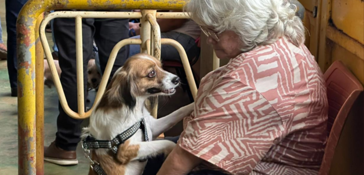 Com apoio de Soraya Thronicke, projeto de castração gratuita beneficia pets em Eldorado