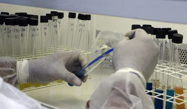 Lacen/MS alcança nota máxima em ensaios de proficiência e confirma excelência técnica