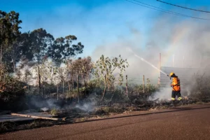 Previsão de tempo seco, ventania e calor de 40°C deixa MS em alerta para incêndios