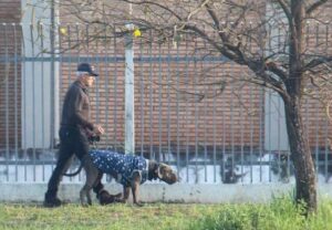 Frente fria derruba temperaturas a 6,4°C em Amambai, mas calor retorna na segunda-feira