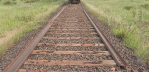 Irmãos Batista e três operadoras ferroviárias miram concessão da Malha Oeste