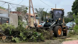 Saque-calamidade do FGTS será liberado em Campo Grande após tempestades; confira como fazer