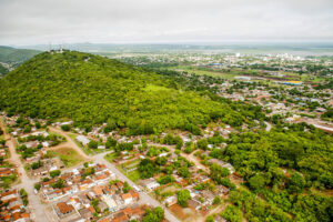 Plano de Arborização Urbana de Corumbá será apresentado em audiência pública