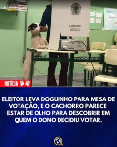 Eleitor leva o seu amigo para votação
